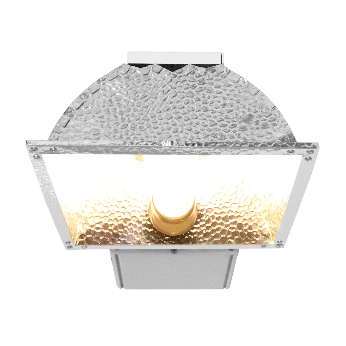 Digital Greenhouse 315W Scion Cmh Grow Light