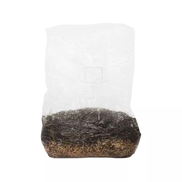 Mushroom Magic Grow Kit All in 1
