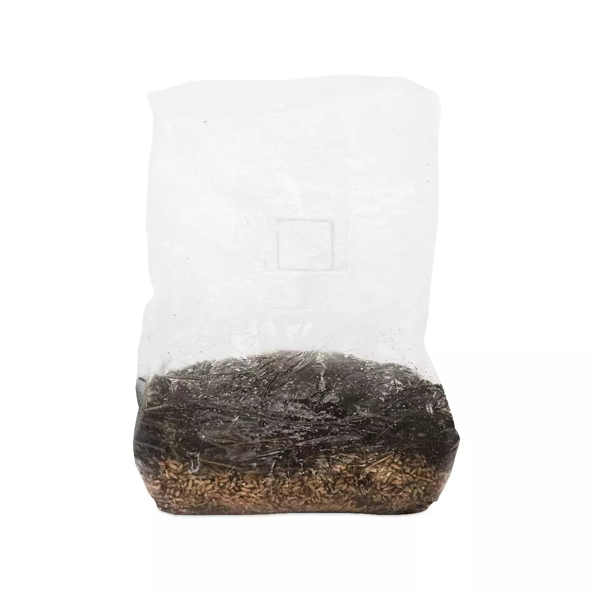 Mushroom Magic Grow Kit All in 1