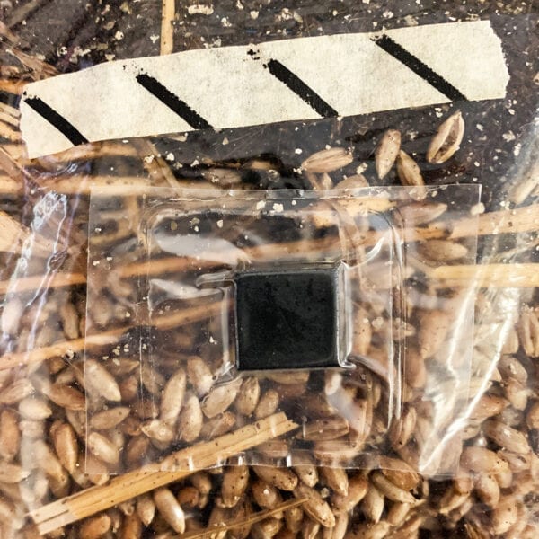 Mushroom Magic Grow Kit Injection Port