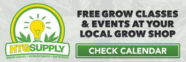 Free Classes & Events at Your Store