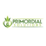 Primordial Solutions