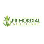 Primordial Solutions Logo