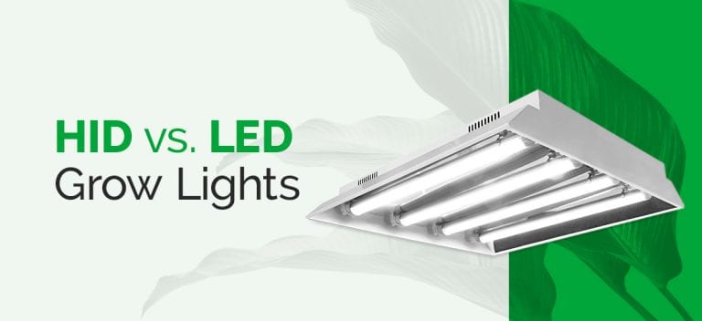 HID vs. LED Grow Lights