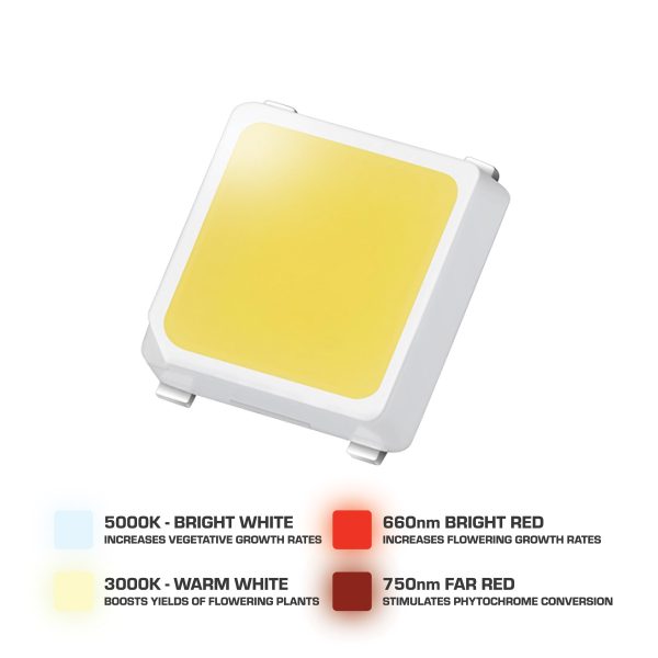 Digital Greenhouse HS Series LED Chip Types
