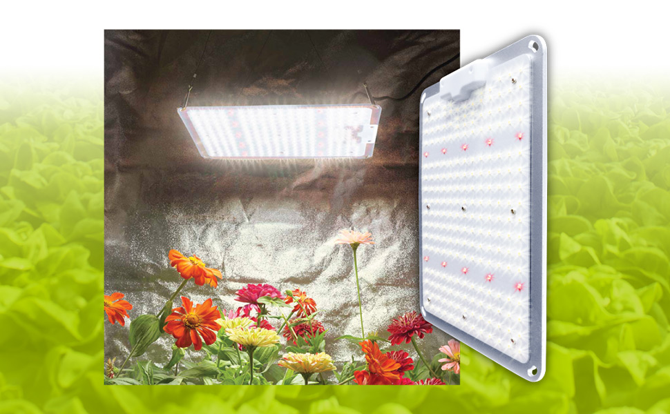 GrowBright LED Grow Lights For Grow Tents & Indoor Gardening