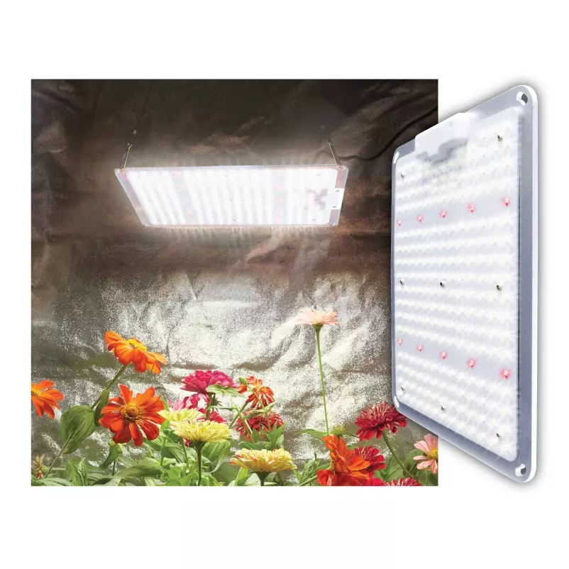 100w led grow light clearance