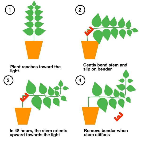 90 Degree Plant Benders 6 12 Millimeter How To Use
