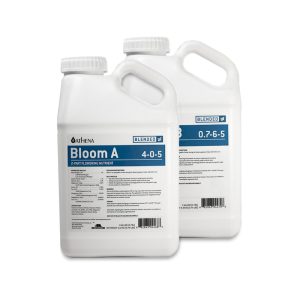 Athena Bloom A&B Gallons