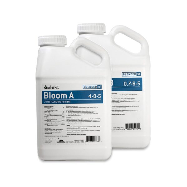 Athena Bloom A&B Gallons