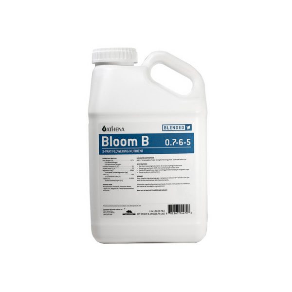 Athena Bloom B - Gallon