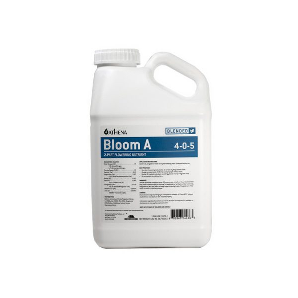 Athena Bloom A Gallon