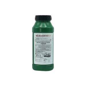 Marrone-Grandevo-CG-1lb