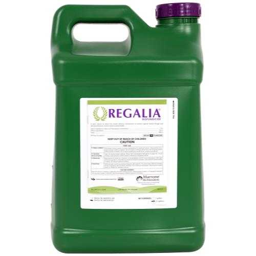Marrone-Regalia-2_5gallon