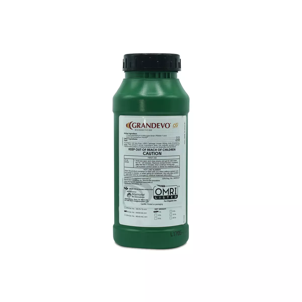 Marrone-Regalia-32OZ