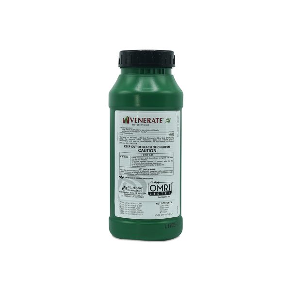 Marrone-Venerate-CG-32oz