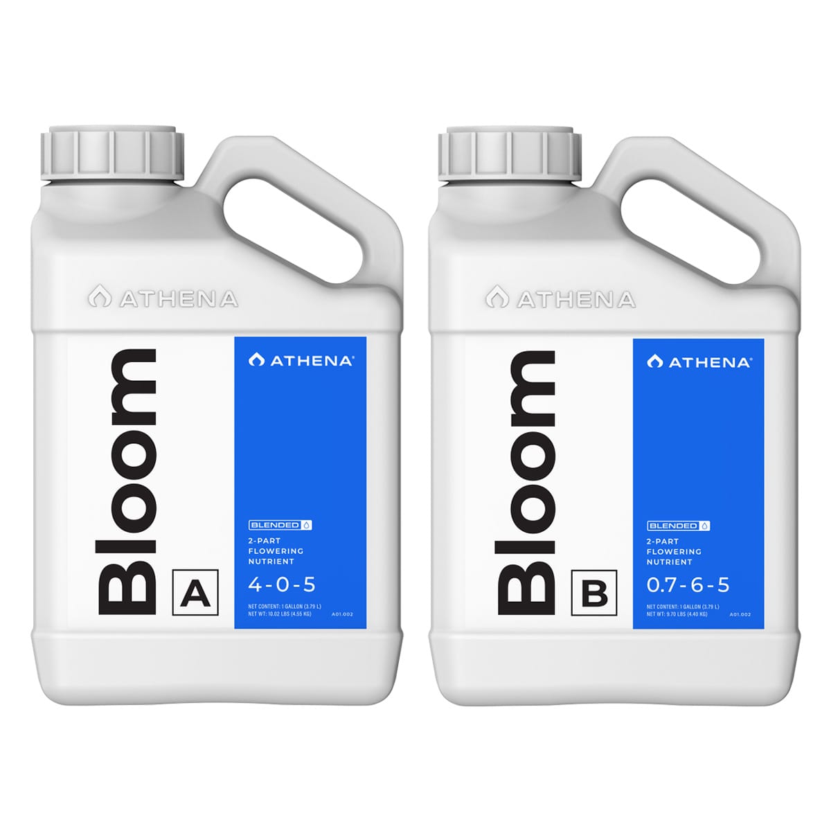 Athena Bloom A & B