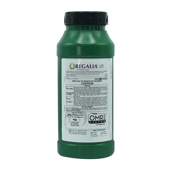 Marrone Regalia CG 32OZ