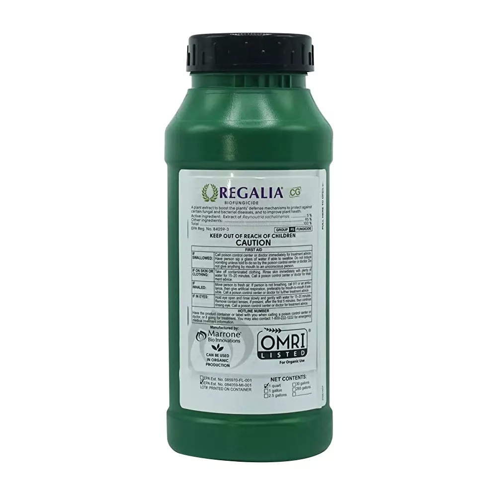 Marrone Regalia CG 32OZ