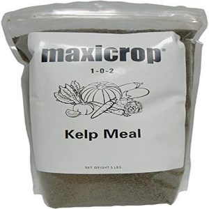 Algamin Kelp Meal 5lb
