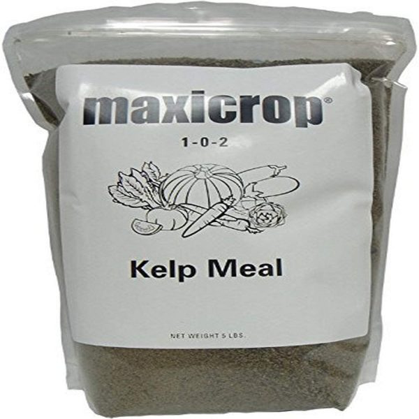 Algamin Kelp Meal 5lb