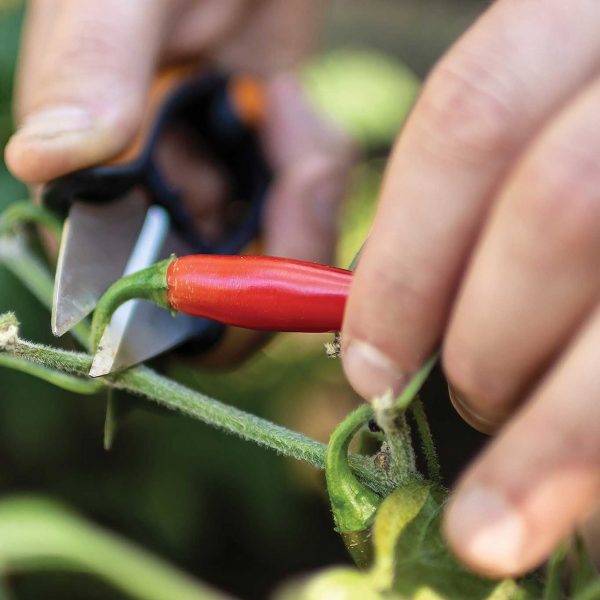 Fiskars Herb Snips - 5 Inch for Gardening