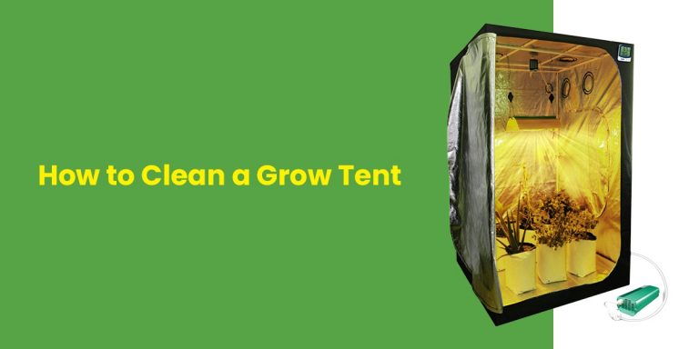 How to Clean a Grow Tent