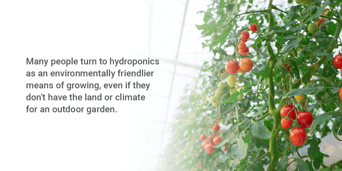What Is a Hydroponic System?