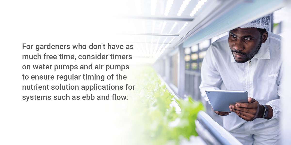 What Is the Best Hydroponic System?