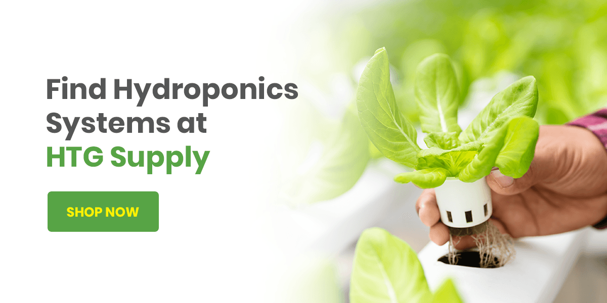 Find Hydroponics Systems at HTG Supply