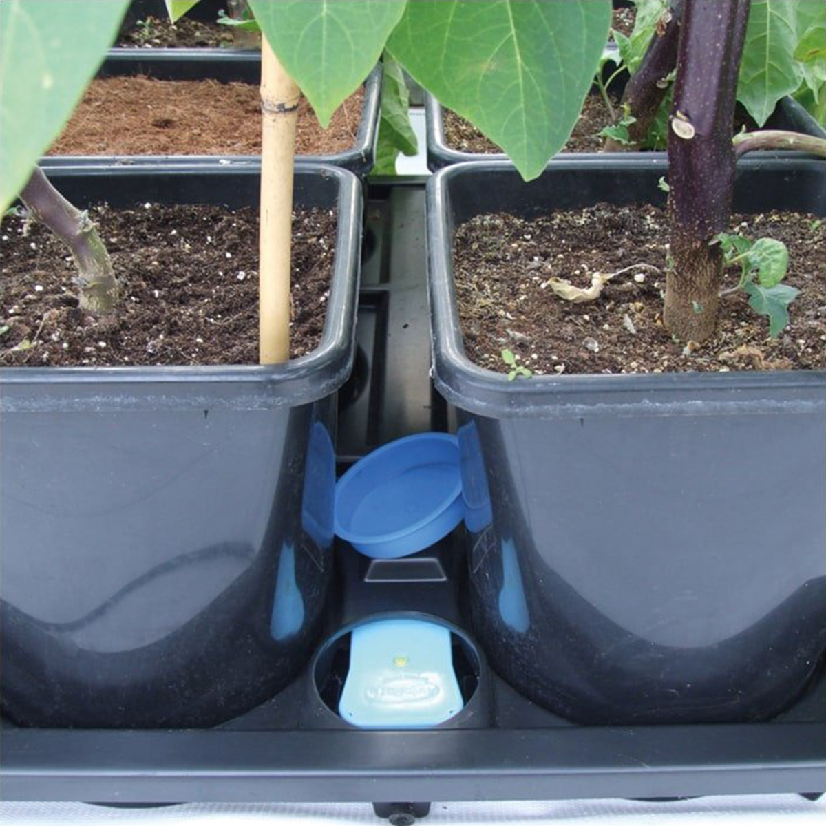 AutoPot 9Pot XL Plantasia
