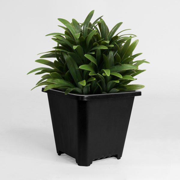 HTG Supply Square Pot with Plant