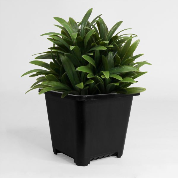 HTG Supply Square Pot with Plant