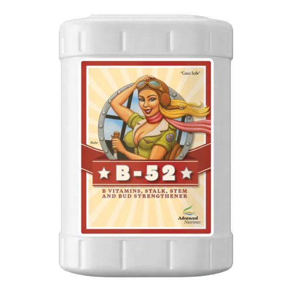 B-52 Fertilizer Booster 23L