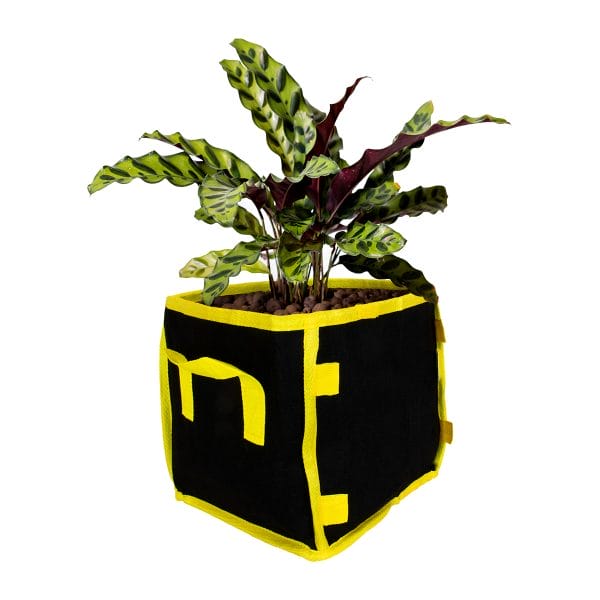 HTG Supply Square Phat Sack In Use