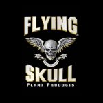 Flying Skull
