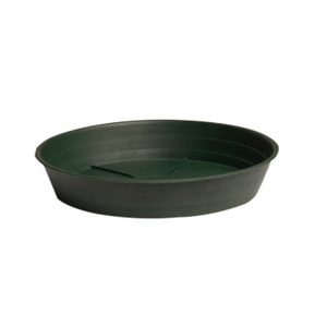 14" Premium Saucer - Green