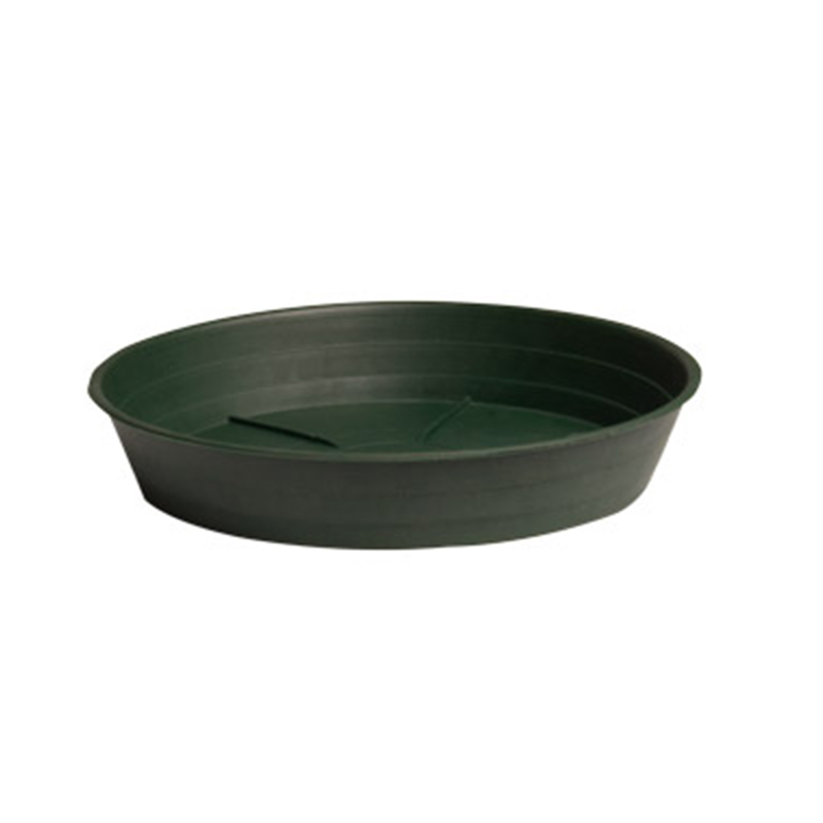 14" Premium Saucer - Green