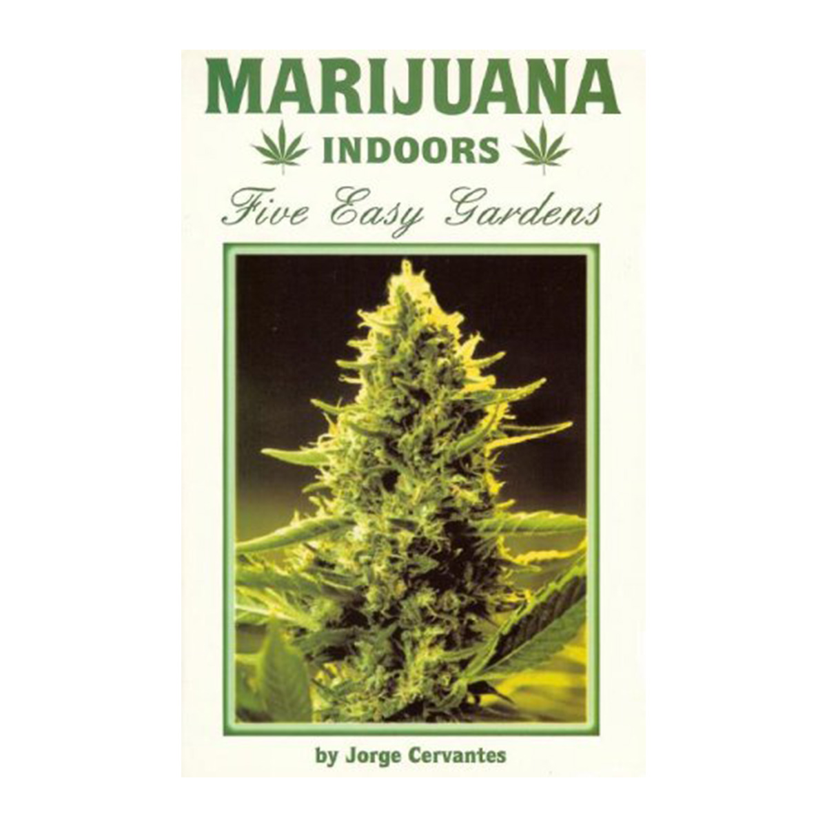 Marijuana Indoors Five Easy Gardens