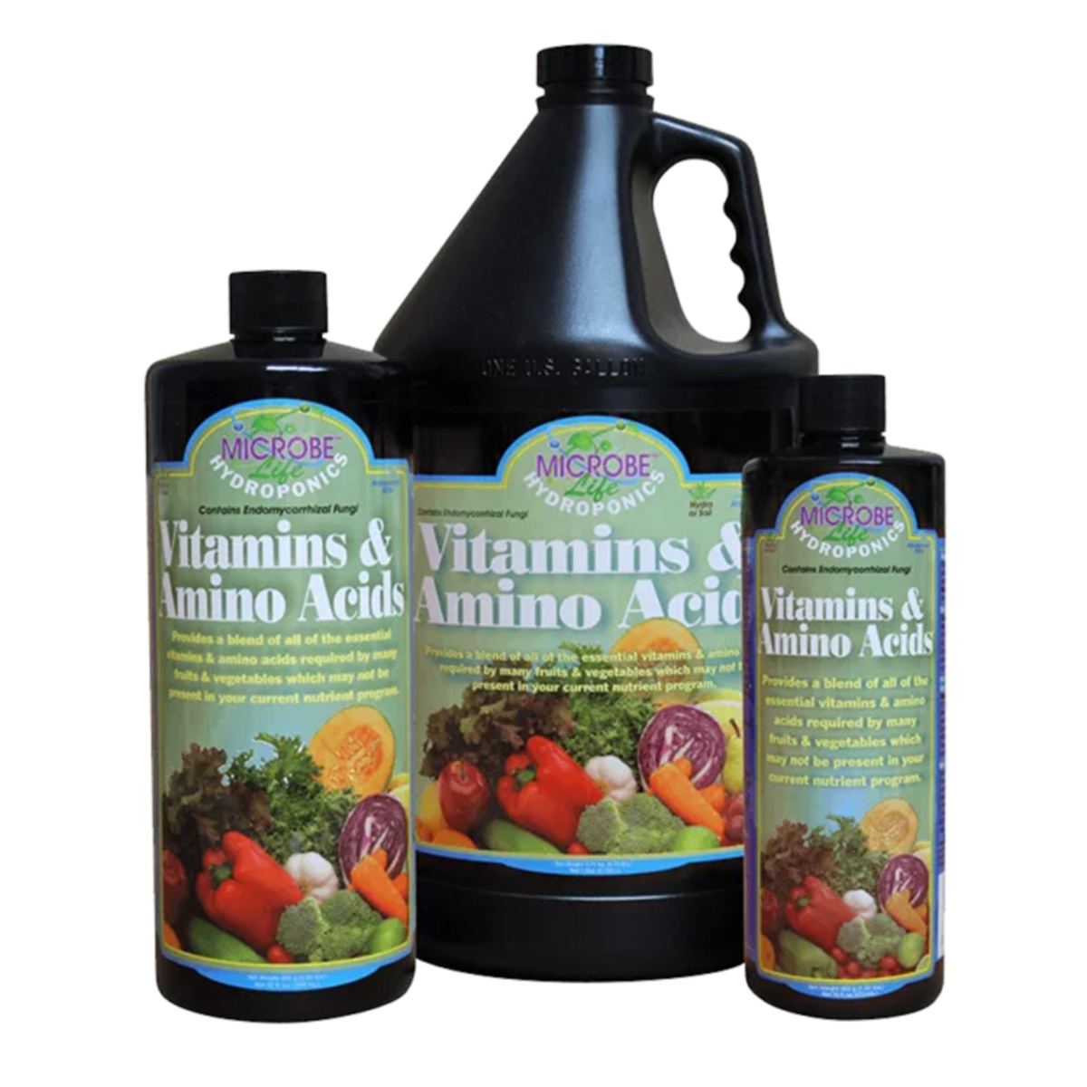 Vitamins and Amino Acids Sizes