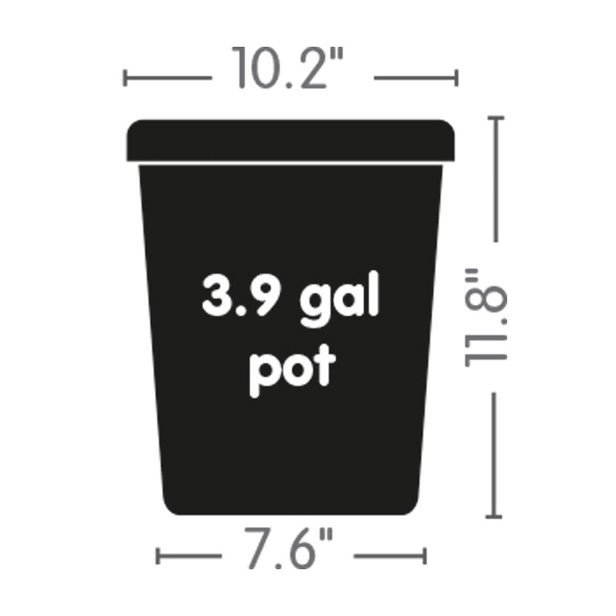 Auto8 Size Chart