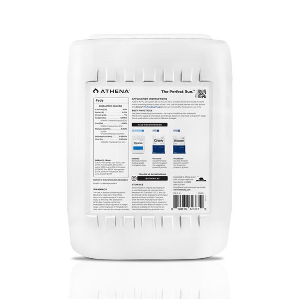 Athena Fade 5 Gallon Back