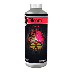 Cutting Edge Solutions Bloom Quart