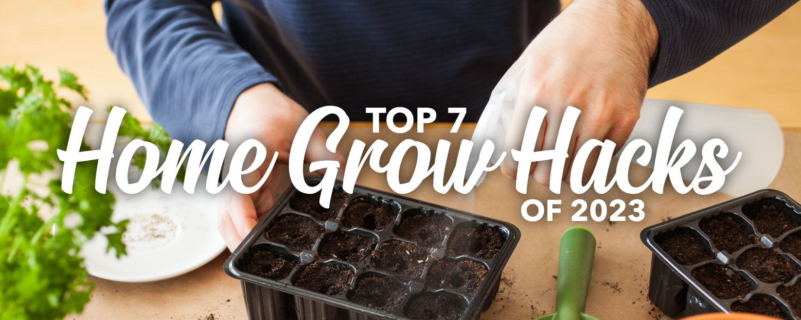 Top 7 Home Grow Hacks 2023