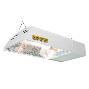 Sunburst CMH Lamp Gallery View