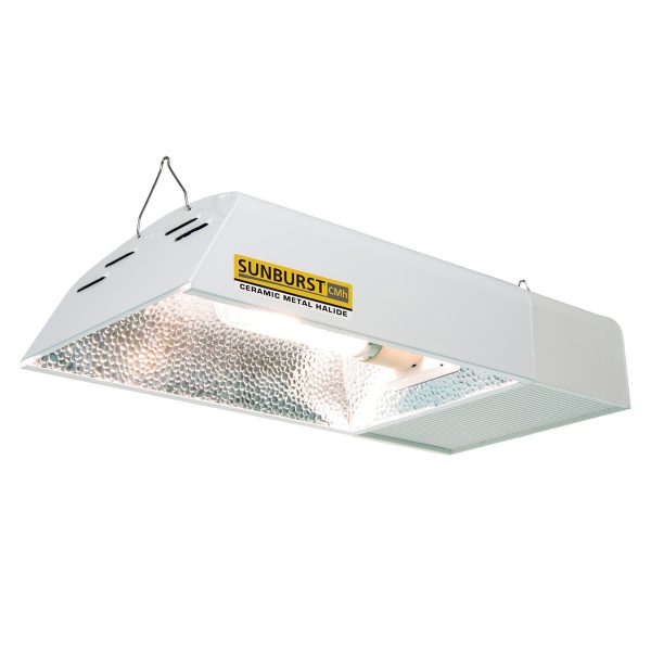 Sunburst CMH Lamp Gallery View