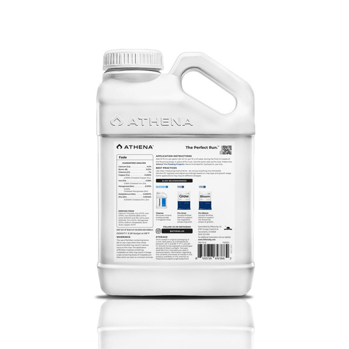 Athena Fade 1 Gal Back