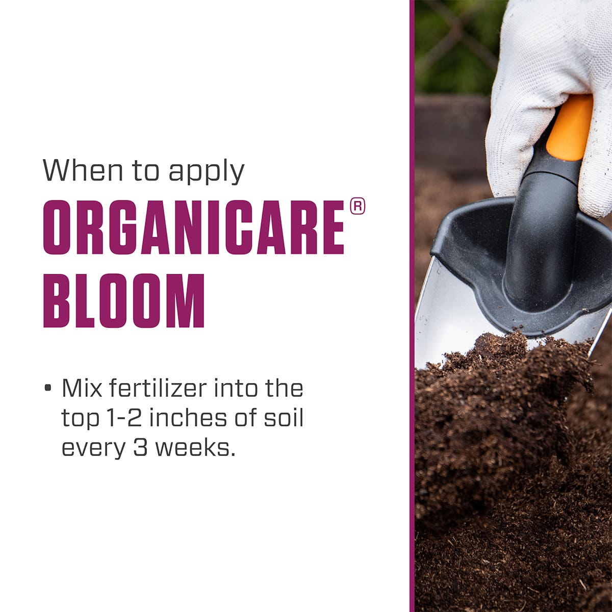 Botanicare Organicare Bloom Application