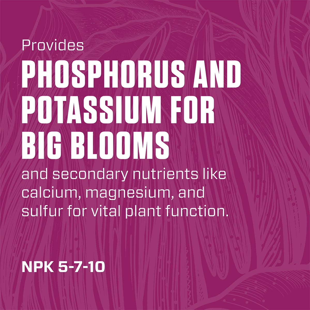 Botanicare Organicare Bloom NPK