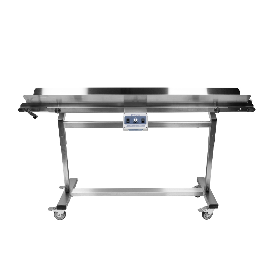 Mobius Infeed Conveyor